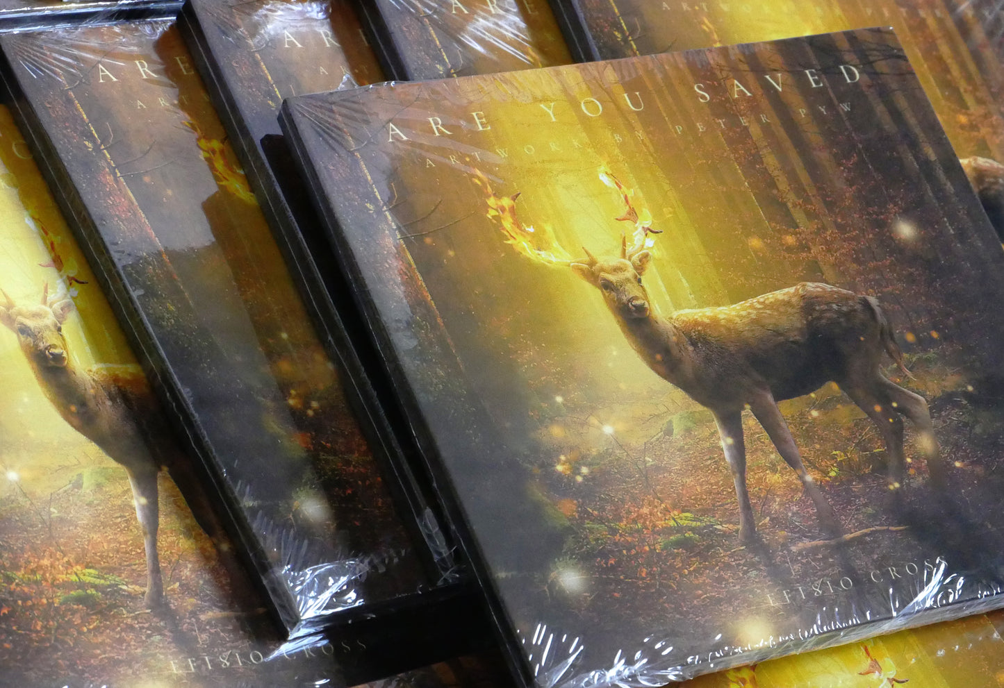 ARE YOU SAVED - PHYSICAL ALBUM • Efisio Cross