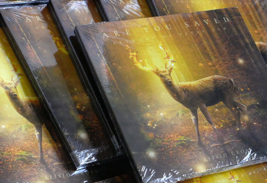 ARE YOU SAVED - PHYSICAL ALBUM • Efisio Cross