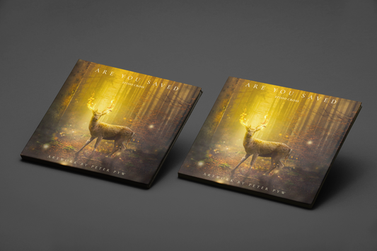 ARE YOU SAVED - PHYSICAL ALBUM • Efisio Cross